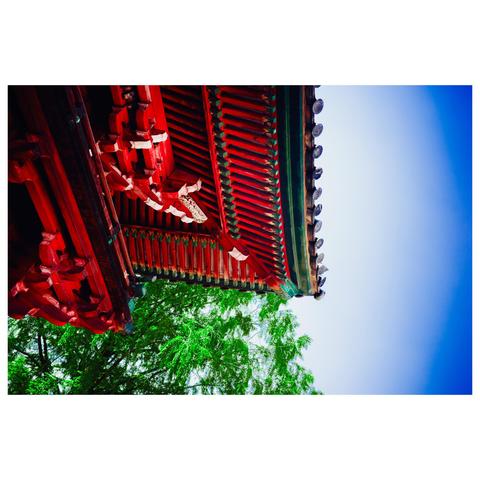A close-up shot of a traditional temple roof in Nagoya, painted in vibrant red with layers of crossbeams and rafters—some faded, some chipped, all doing their best. The composition angles sharply upward, creating a dynamic diagonal line that leads the eye from the aged wooden joinery to the fresh spring green leaves and then to the clear blue sky.