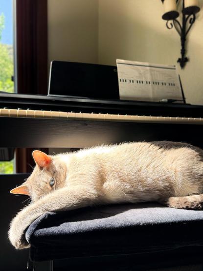 A cat lays across the piano bench, in front of the piano.