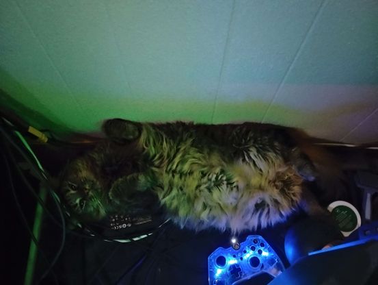 Goobie [cat] laying on her back behind a computer monitor, where the computer is just to the left of her head. A blue LED controller is shown next to Goobie.