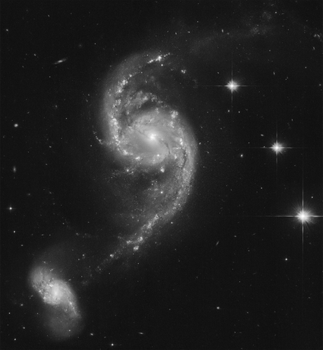 A black and white image of a pair of interacting spiral galaxies. In the center of the frame is the larger galaxy, a barred spiral galaxy seen face-on. It has a bright center that transitions into a small bar, crossed by filamentary, dark dust lanes.  A ring of stars and star clusters circles the bar, giving the inner part of the galaxy a shape that resembles an eye. Two long spiral arms emerge from the ring, dotted with bright star clusters and outlined by dust filaments, forming an S-shape. The upper arm trails off in a faint arc to the right. The bottom arm appears to connect to its companion galaxy in the lower part of the frame. This galaxy is smaller and less well defined, but is still clearly a two-armed spiral with a bright center and wider, hazy arms. The black background of space is dotted with foreground stars and tiny background galaxies. A few particularly bright stars with diffraction spikes are seen to the right of the center galaxy.