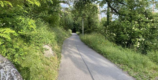 Une piste cyclable dans la verdure