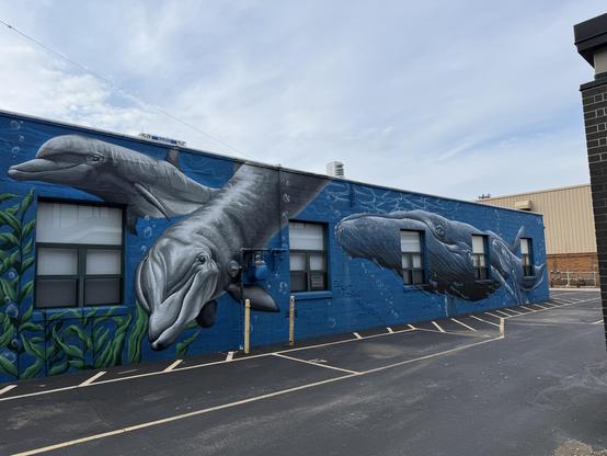 A colorful mural on a building featuring three whales and aquatic vegetation, with a blue background and water bubbles, capturing an underwater theme.