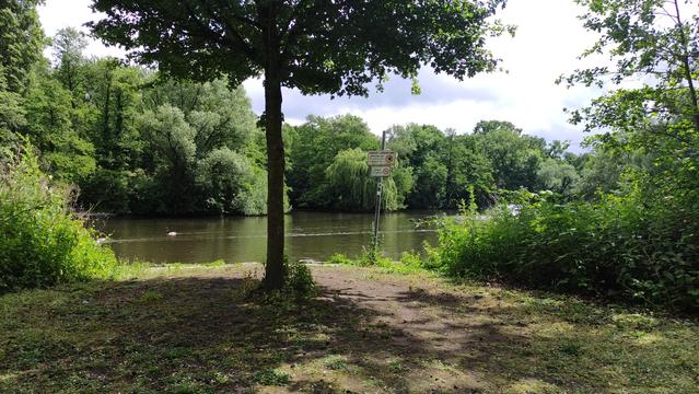Blickrichtunf Teich