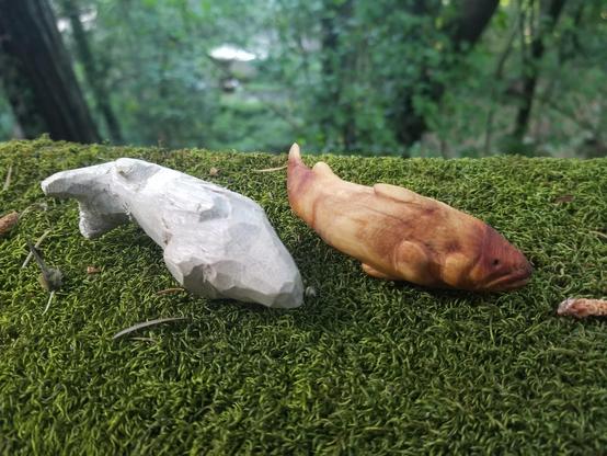 two wooden trout on a mossy railing. one is silvery-grey and still very rough; the other, in golden wood with red streaks and swirls, is finished and oiled. their tails curve in opposite directions