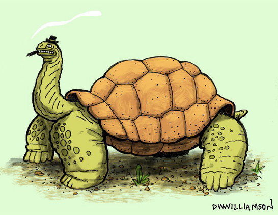 Tortoise wearing a small hat and smoking a cigar. 