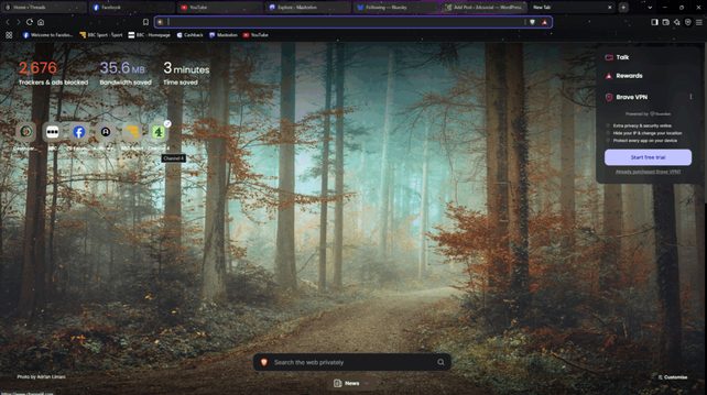 brave browser