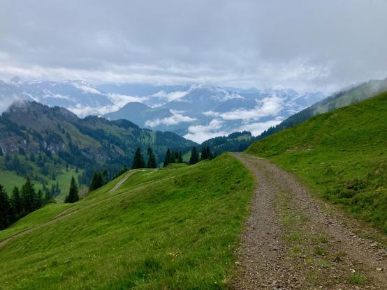 Blick über grüne Almwiesen auf die Hügel des Bregenzerwaldes, zwischen denen Wolken umhergeschoben werden.