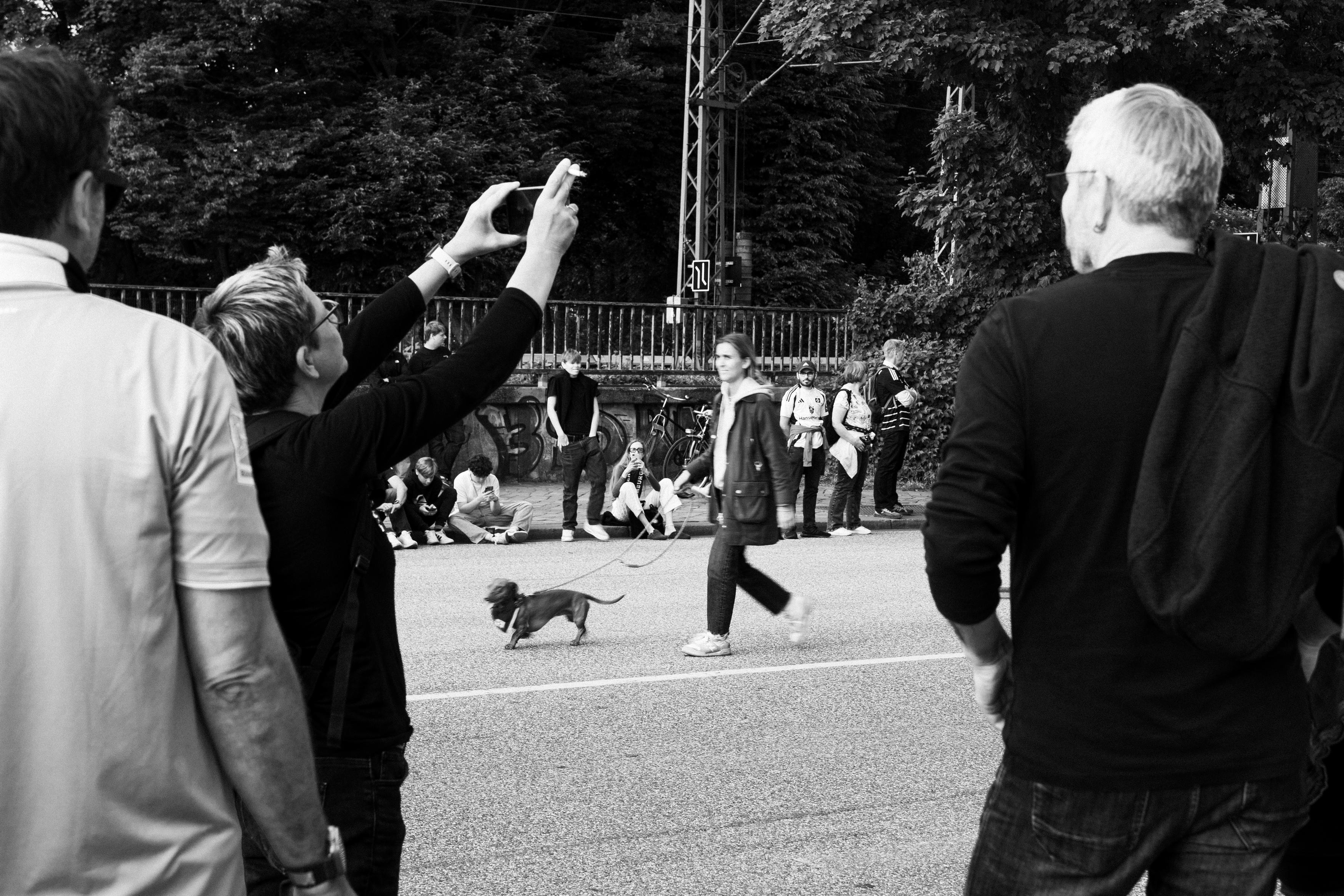 Black and white photo of a woman walking a small dog, framed by people on either side of her.