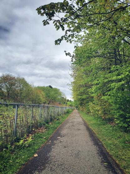 Camino ciclopeatonal arbolado junto a las vías del tren en un día nublado, más bien gris.