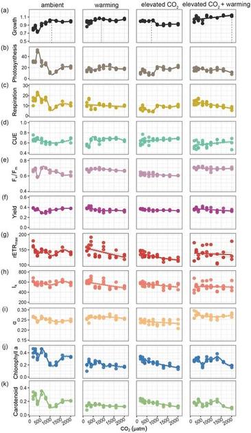 Multi-trait variations of Phaeodactylum tricornutum Bohlin populations in ambient, warming, elevated CO2 and elevated CO2 + warming regimes across CO2 gradients.