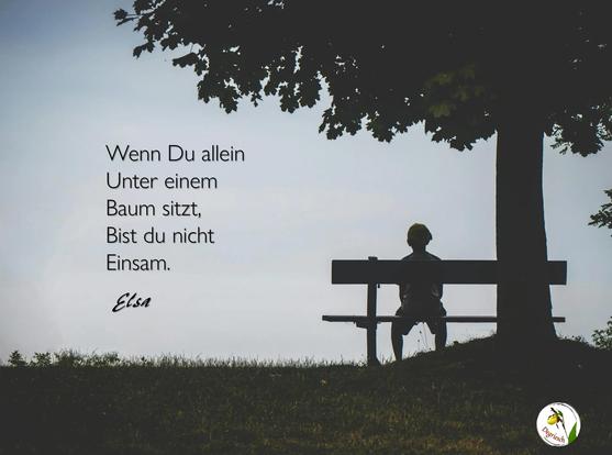 Blick von hinten auf einen Menschen, der auf einer Bank sitzt, die sich unter einem Baum befindet. Dazu der Text: Wenn Du alleine unter einem Baum sitzt, bist Du nicht einsam. (Elsa vom Degrieschenwald) 