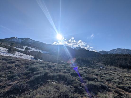 The high Sierra as seen from the east side