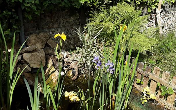 Unser kleiner Gartenteich mit Enten....Der Wasserfall ist noch ziemlich trocken.