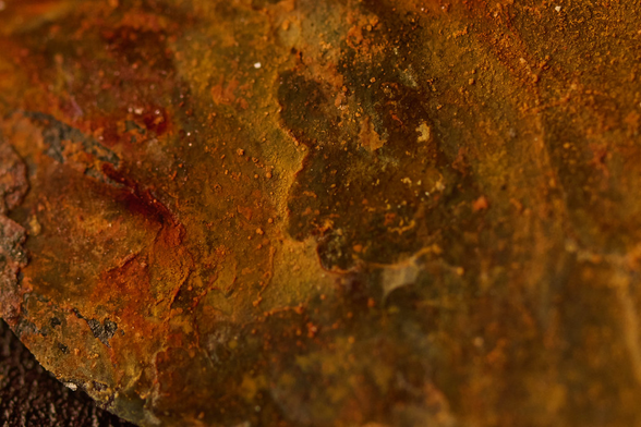 Macro of a rusted layer of coating, at 7.5x magnification. From the macro level it looks like one of these pictures of the Mars’ dusty terrain.
