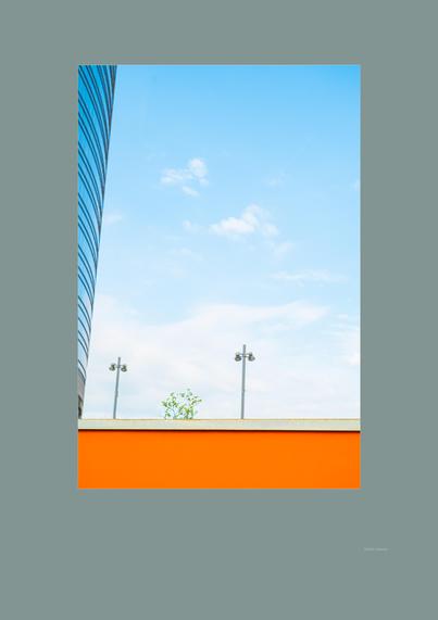 Skyscraper, blue sky, patch of clouds, orange wall, two street light, a green plant.