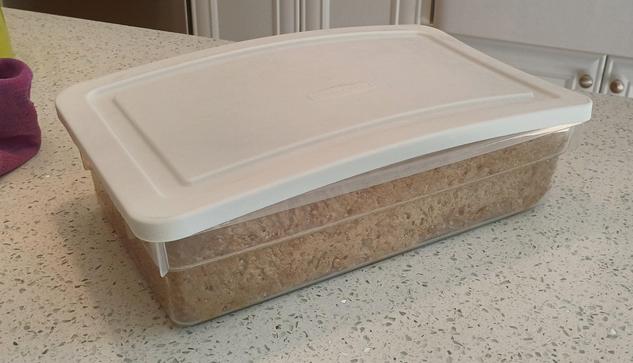 A rectangular plastic container has a lid that is threatening to pop off as the dough inside pushes it upwards.