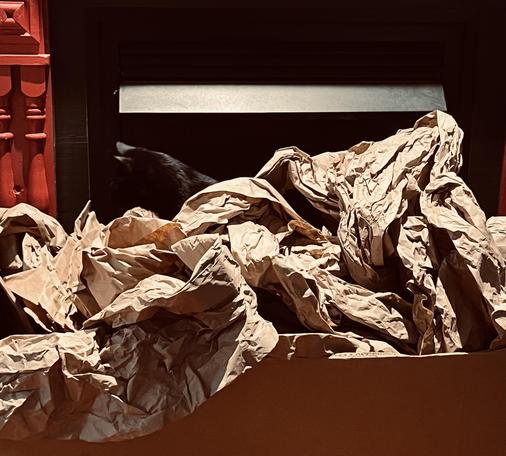 a big cardboard box overflowing with crumpled brown paper in front of a black fireplace framed with a red hearth; one can barely make out the shape of a cat's head in profile coming out of the box of paper, in front of the blackness of the center of the fireplace. 