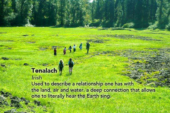 Tenalach (Old West Irish) Used to describe a relationship one has with the land, air and water, a deep connection that allows one to literally hear the Earth sing