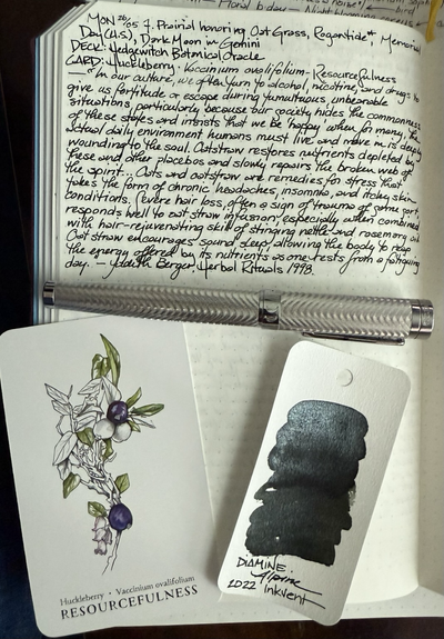 Open notebook with handwritten text from the post at the of the page with additional text: “In our culture, we often turn to alcohol, nicotine, and drugs to give us fortitude or escape during tumultuous, unbearable situations, particularly because our society hides the commonness of these states and insists that we be ‘happy’ when for many, the actual daily environment humans must live and move in is deeply wounding to the soul. Oatstraw restores nutrients depleted by these other placebos and slowly repairs the broken web of spirit…Oats and oatstraw are remedies for stress that takes the form of chronic headaches, insomnia, and itchy skin conditions. Severe hair loss, often a sign of trauma of some sort, responds well to oatstraw infusion, especially when combined with the hair-rejuvenating skill of stinging nettle and rosemary oil. Oatstraw encourages sound sleep, allowing the body to reap the energy offered by its nutrients as one rests from a fatiguing day.” — Judith Berger, Herbal Rituals 1998. Below the text is a chiseled, silver-tone pen, a card with a line drawing of a sprig of huckleberry with a few leaves and berries colored in and a swatch of deep green ink with heavy silver shading. 