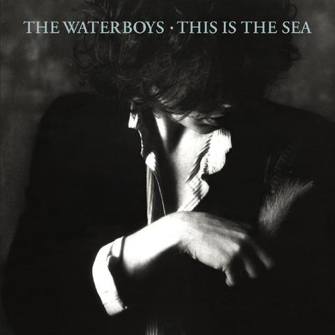 An image of the cover of the album 'This Is the Sea' by The Waterboys