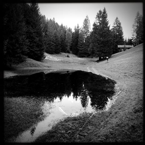 Un sentiero su un prato nel bosco e l'acqua di un grande laghetto. Una piccola casetta e alberi sullo sfondo