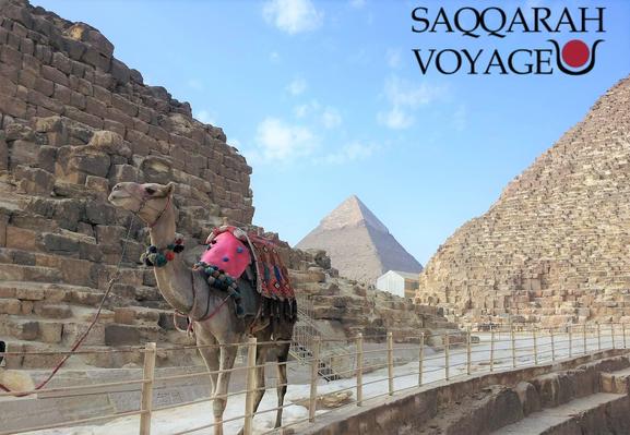 https://saqqarah-voyage.fr/excursion-dune-journee-dhurghada-au-caire-en-bus-top/