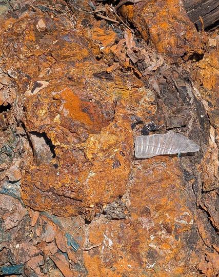 image of rusted metal, wood, and glass fragments