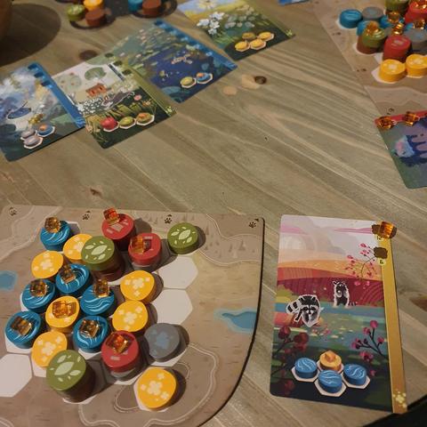 Playing harmonies, a board game with cute animal cards and colourful tiles