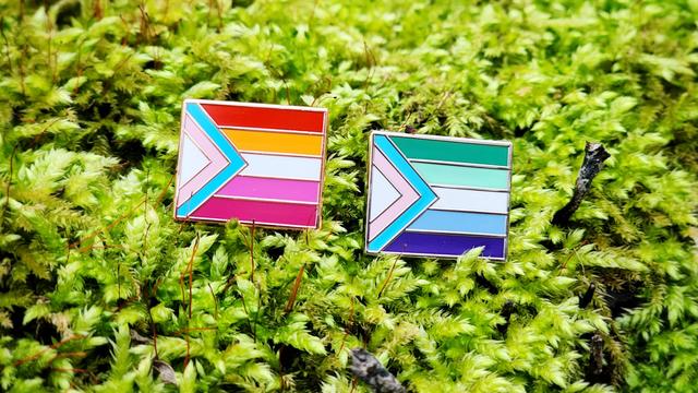 enamel pins of the lesbian and gay man flags with a trans inclusive chevron on the left