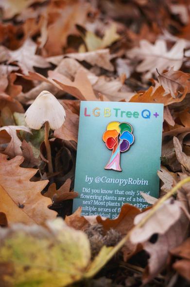 an enamel pin badge in the shape of a tree in progress pride flag colours. It's on a backing card that says "LGBTreeQ+ by canopy robin. Did you know that only % of flowering plants are of a binary sex? Most plants have either multiple sexes of flowers on the same individual plant, or multiple sexes within a single flower!"
