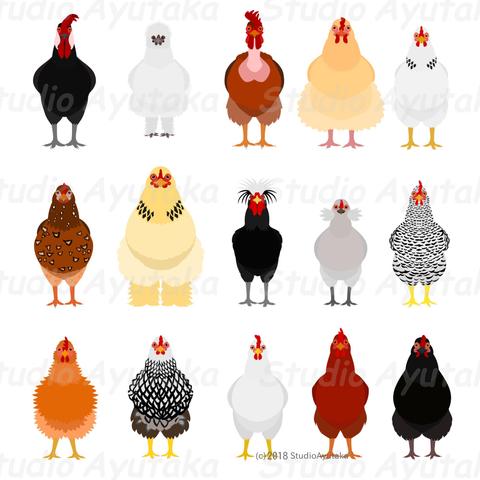 a bundle of 15 breeds of chicken cliparts.