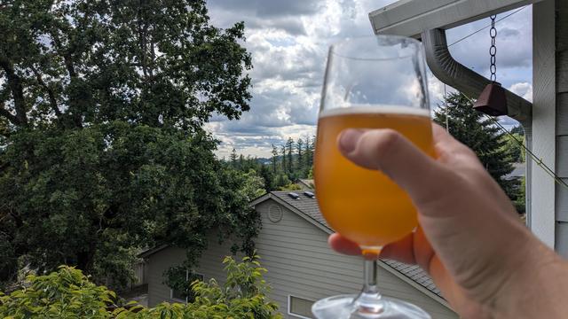 I'm holding a glass of light copper colored beer up, my neighbor's oak tree, house and landscape and sky/clouds can be seen in the background