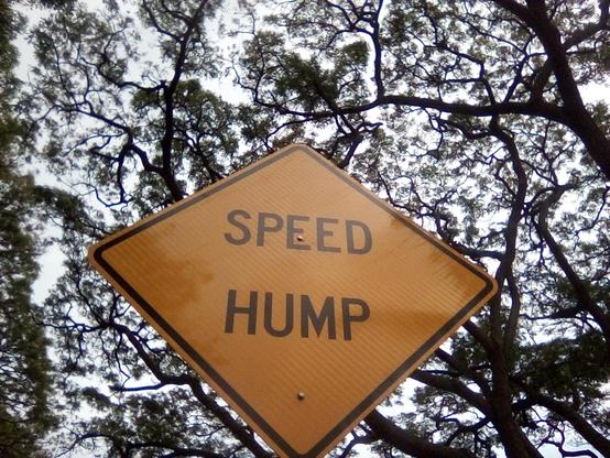 Photo of a street sign that reads: "SPEED HUMP"

The background is that of the branches and leaves of a tree against the sky.