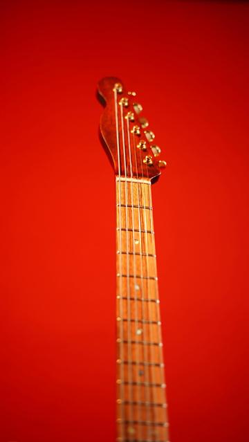Kopfplatte und Griffbrett einer E-Gitarre. Die Kopfplatte ist aus dunkelrotem Mahagoni, das Griffbrett aus Zebrano, hell mit dunklen Streifen. Punkteinlagen auf dem griffbrett aus Perlmutt. Die Mechaniken sind goldfarben.