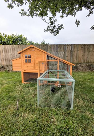 Maison de campagne pour les cochons d'Inde pour les beaux jours.