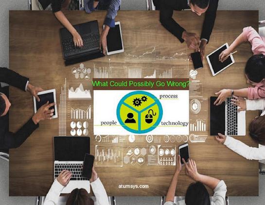 MANAGING RISK In small federal government contracting business system development - Insuring wise business system development decisions, specific to your company.