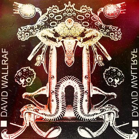 Collage for the radio show: amorphuous body and animal parts (snake spines, sponges and auditory ossicles taken from a 19th century zoology book) merged into a symmetric, mirrored shape.