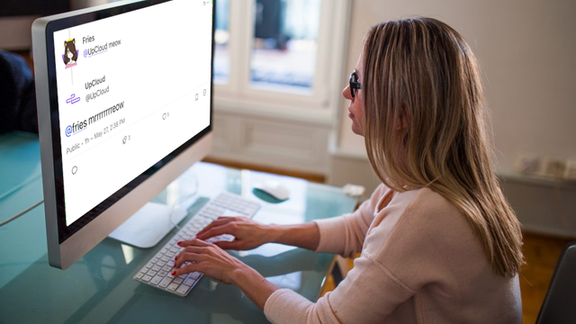 Stock photo of a lady typing on a screen, and the screen has a post from UpCloud where UpCloud is meowing on fedi