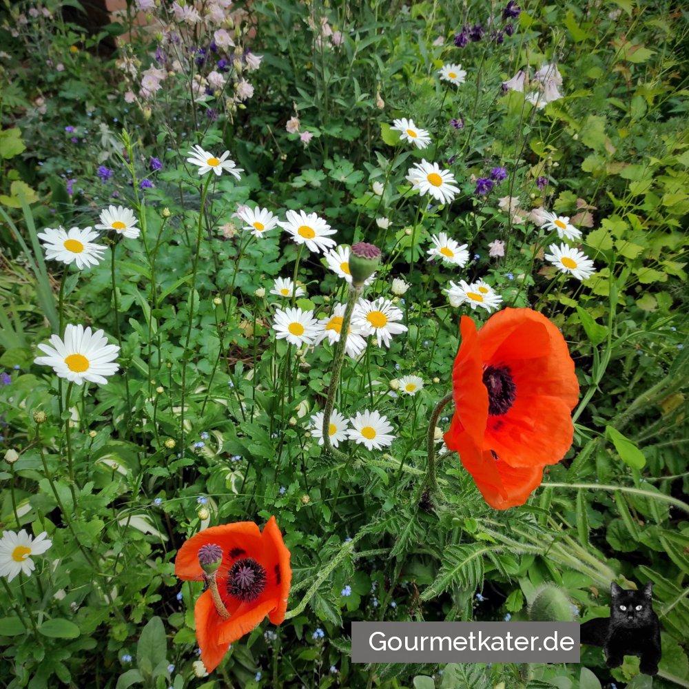 Im Garten