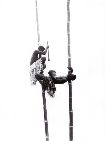 Ouidah, Bénin, 1948–1954 (par of series) by Pierre Verger, circa 1950 (gelatin silver print)