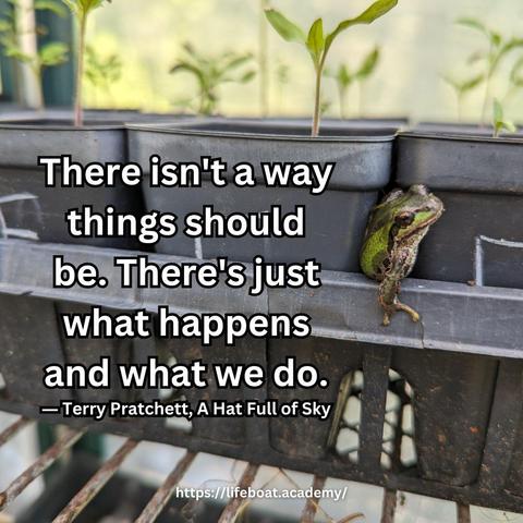 A social post from @lifeboatacademy which says: "There isn't a way things should be. There's just what happens and what we do." - Terry Pratchett, A Hat Full of Sky