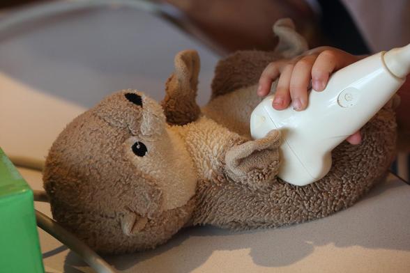 Teddy-Otter wird untersucht