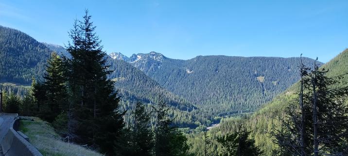 3000 elevation looking out from Stevens Pass