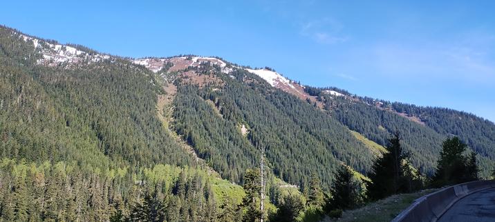 3000 elevation looking out from Stevens Pass