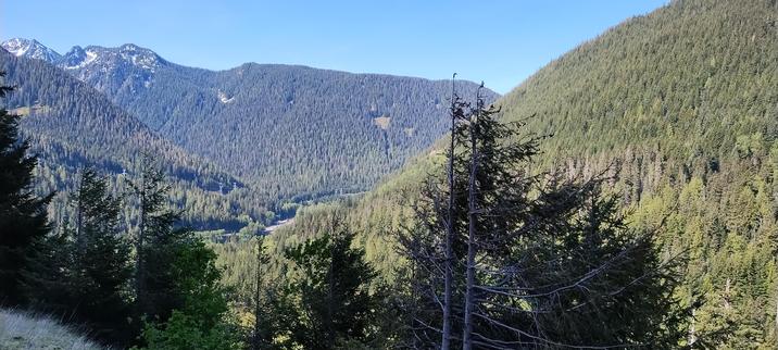 3000 elevation looking out from Stevens Pass