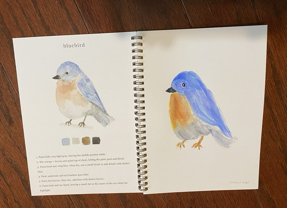 Open sketchbook. On the left, watercolor illustration of a bluebird with instructions and color swatches beneath. On the right, my watercolor painting of a bluebird.