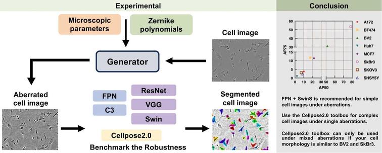 Practical guidelines for cell segmentation models under optical aberrations in microscopy. Computational and Structural Biotechnology Journal, DOI: https://doi.org/10.1016/j.csbj.2024.09.002