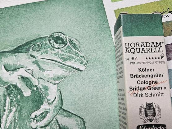 Painting of a green frog and a box of watercolor next to it. It says Horadam Aquarell, Cologne Bridge Green, Dirk Schmitt, Schmincke.