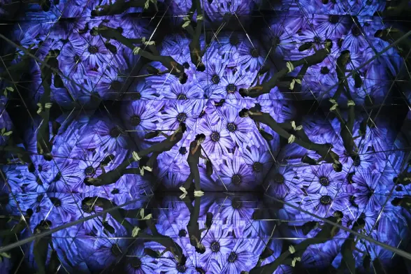 An employee cleans mirrored floors at the Mahanakhon Skyverse digital art exhibition at King Power Mahanakhon with images of flowers.