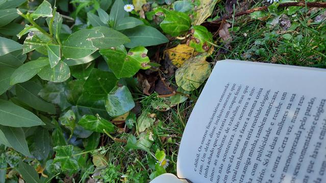 livro aberto com fundo de vegetação